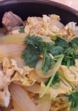 簡単すぎ☆親子丼-レシピのメイン写真