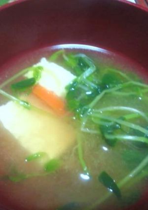 豆苗の味噌汁-レシピのメイン写真