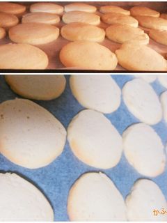 バタークッキー-レシピのメイン写真