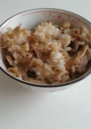 ゴボウ肉めし-レシピのメイン写真