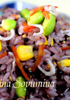 ✿＊黒米の＊七色彩り＊炊き込みご飯＊✿-レシピのメイン写真