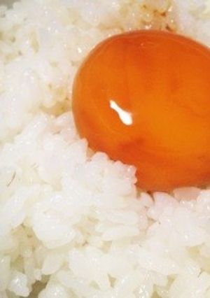 最高の卵かけごはん-レシピのメイン写真