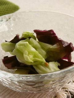 味噌&塩ヨーグルト床でお漬物❤-レシピのメイン写真