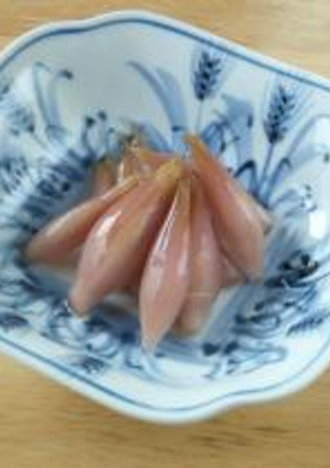 夏のメニュー　みょうがの甘酢漬け-レシピのメイン写真