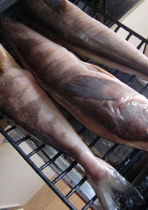 衝撃！！干物の焼き方-レシピのメイン写真