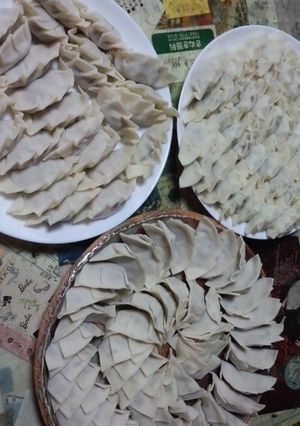 簡単(^^)3種類のジューシーな餃子-レシピのメイン写真