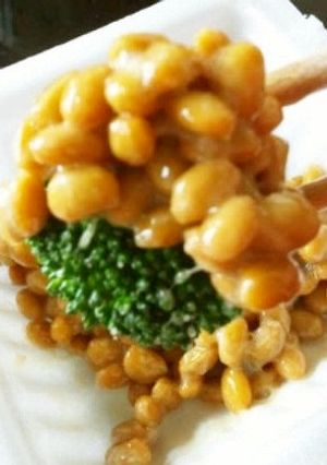 ◎◎納豆ｏｎ　ｔｈｅブロッコリー◎◎-レシピのメイン写真
