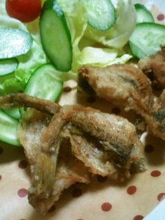ハタハタの唐揚げ-レシピのメイン写真
