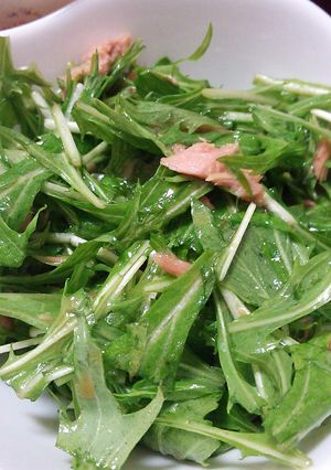 ３分かからずできる簡単水菜サラダ-レシピのメイン写真