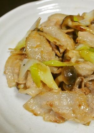 豚肉とねぎの山椒辣油炒め-レシピのメイン写真