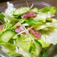 基本からアレンジまで！思わずつくりたくなる「サラミ サラダ」の