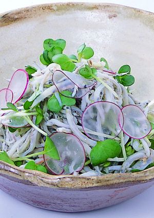 イカナゴのカイワレサラダわさびマヨ風味-レシピのメイン写真
