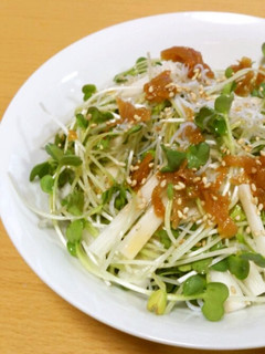 かいわれ大根と長芋の梅ドレサラダ-レシピのメイン写真