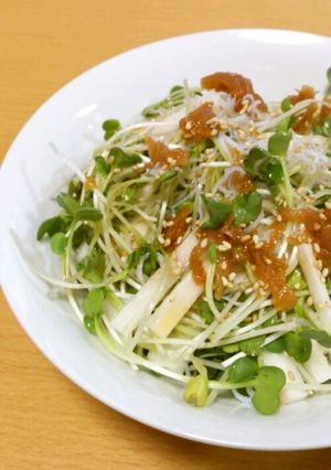 かいわれ大根と長芋の梅ドレサラダ-レシピのメイン写真