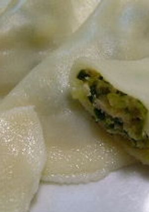 いくつでも食べられる餃子-レシピのメイン写真
