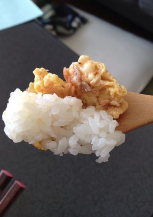 お弁当に鮭と卵の丼-レシピのメイン写真
