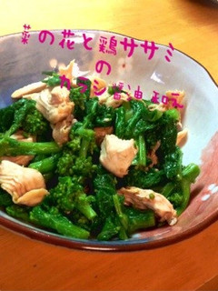 菜の花と鶏ササミのカラシ醤油和え-レシピのメイン写真