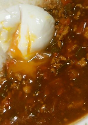 トマトドライカレー♪リメイクもあるよ♪-レシピのメイン写真