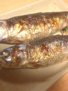 節分*イワシの塩焼き-レシピのメイン写真