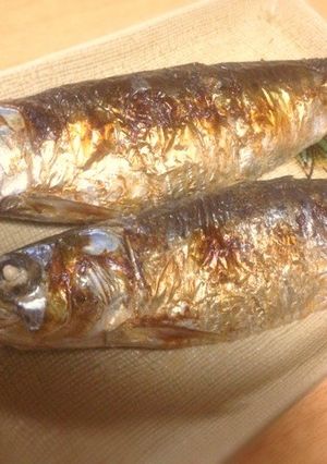 節分*イワシの塩焼き-レシピのメイン写真