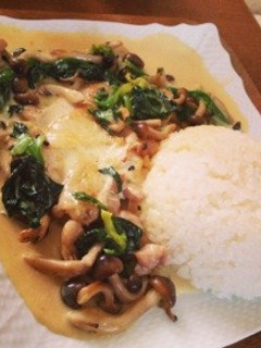 鶏肉のクリームソース煮-レシピのメイン写真