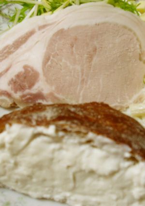 フレッシュチーズ 乳酸菌&麹菌-レシピのメイン写真