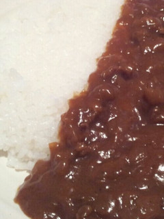 ジャワカレーとネクター夢の出会いカレー-レシピのメイン写真