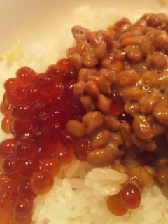 いくら納豆丼-レシピのメイン写真