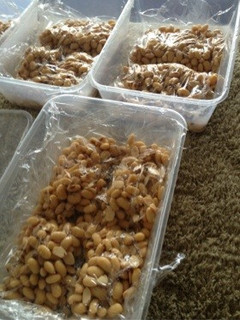 自家製 無添加 地産の手作り納豆-レシピのメイン写真