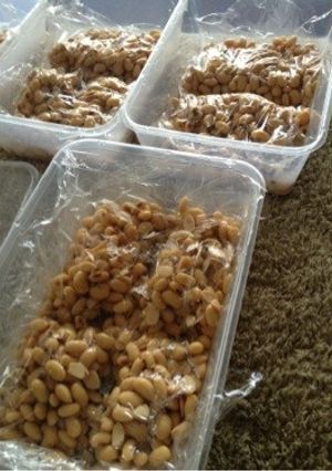 自家製 無添加 地産の手作り納豆-レシピのメイン写真