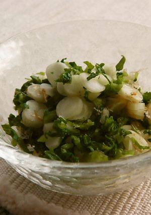 オロヌキ大根をヨーグルト＆昆布茶でお漬物-レシピのメイン写真