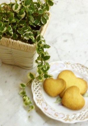 ちょー簡単30分で出来るクッキー-レシピのメイン写真