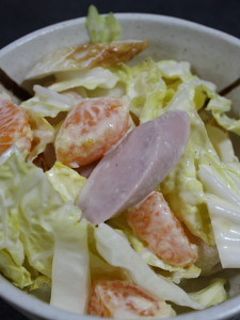 みかん消費☆白菜とみかんの簡単サラダ-レシピのメイン写真