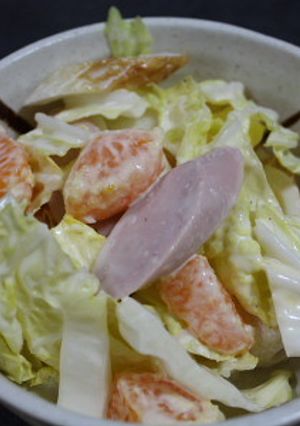 みかん消費☆白菜とみかんの簡単サラダ-レシピのメイン写真