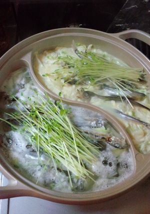 簡単 デトックス ししゃも鍋豆乳 塩麹-レシピのメイン写真