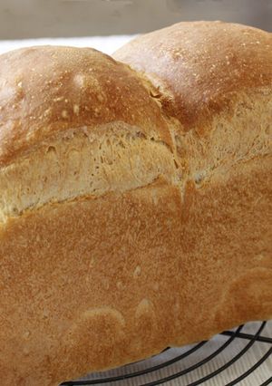 米米食パン-レシピのメイン写真