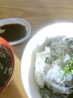 生しらす丼-レシピのメイン写真