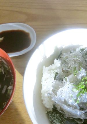 生しらす丼-レシピのメイン写真