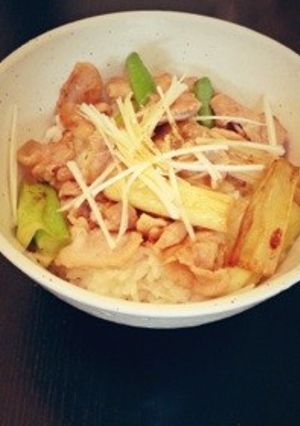 豚肉と白ネギ丼-レシピのメイン写真
