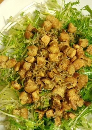 カリカリ水菜サラダ-レシピのメイン写真