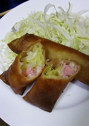 簡単！キャベツとハムとチーズの春巻き-レシピのメイン写真