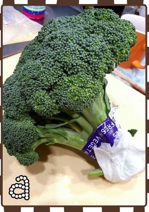 ブロッコリー美味しく保存-レシピのメイン写真