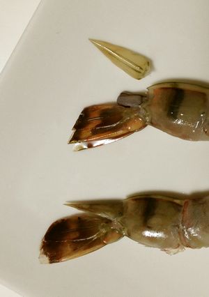 料理屋の祖父の『心』〜海老の下処理〜-レシピのメイン写真