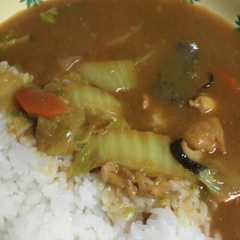 節約☆豚汁リメイク～カレー♡-レシピのメイン写真