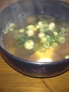 豆腐とわかめのお味噌汁-レシピのメイン写真