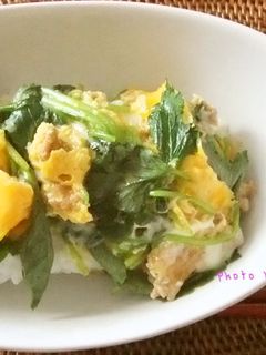 うちの他人丼♬-レシピのメイン写真