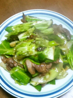 本格的っぽい…俺流の回鍋肉-レシピのメイン写真