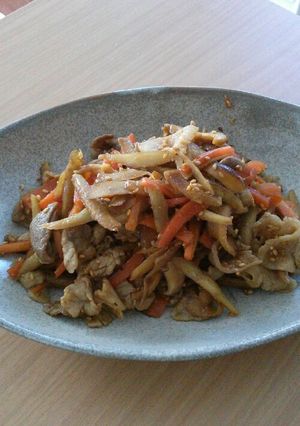 豚こま肉のきんぴらごぼう-レシピのメイン写真