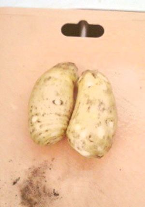 ヌメリよサラバ！安全な里芋の皮むき-レシピのメイン写真