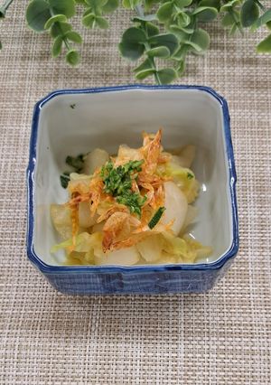 柚子香る桜海老と白菜のおひたし-レシピのメイン写真
